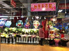 -大自然花鸟鱼虫市场