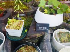 -国家植物园南园