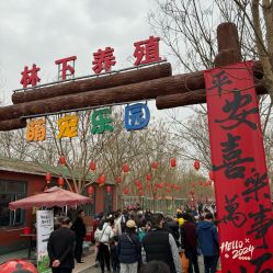 -塔元庄景区