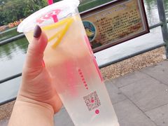 -蜜雪冰城(新华路店)