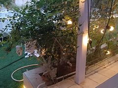 -CIAO·团建聚餐·生日派对轰趴馆(福田店)