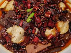 -宏宴·新京菜(望京店)