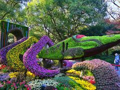 -杭州植物园