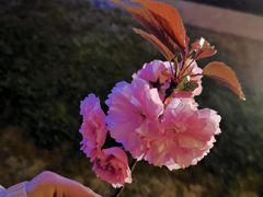 -天鹅湖体育公园