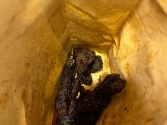 -都士牧人现烤牛肉干