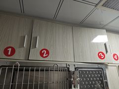-半岛宠物医院24小时(科华中路店)