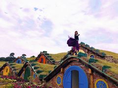 -武汉紫薇都市田园