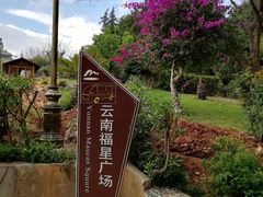 -南诏风情岛