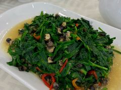 韭菜炒螺丝-怡园饭店-餐厅(四望亭店)