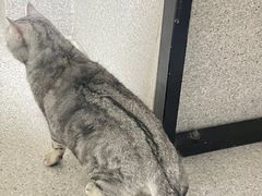 -谐和贝康宠物医院24小时·宠保定点(急重症转诊中心)