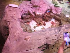 -沈阳海洋探索中心