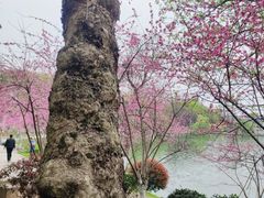 -食膳公园包子铺(烈士公园店)