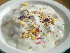 -八次方密云水库鱼粘卷子·熏鸽子·农家菜