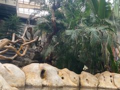 -龙达温泉生态城