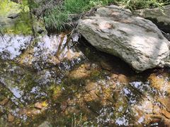 -木兰云雾山