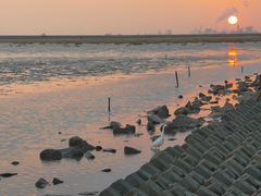 -上海棕榈滩海景酒店