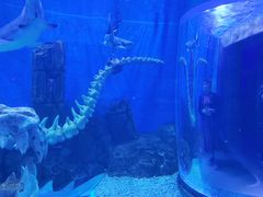 -波塞冬旅游度假区