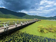 -腾冲北海湿地