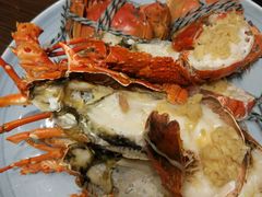 龙虾-菲住布渴酒店自助餐厅(阿里巴巴西溪园区店)