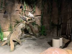 -zoonana室内动物园(东方福来德店)