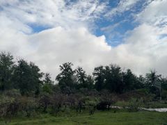 -新疆那拉提国家旅游度假区