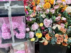 -三圣花乡旅游区