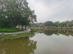 -东莞植物园