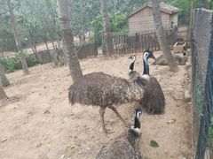 -大连森林动物园