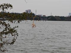 -海珠湖公园