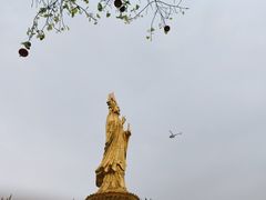 -广州莲花山旅游区