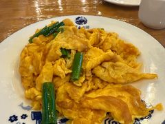 -欢乐松鼠谷