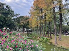 -人民公园(罗湖区)