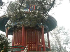 android_upload_pic-景山公园