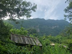 -天门沟九州驿站树上汤泉