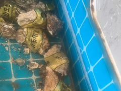 -锅老头铁锅炖•大锅蒸汽海鲜(韩乐坊店)