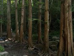-南京老山国家森林公园