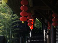 -大唐贡茶院