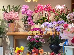 -花神·轻食简餐·咖啡馆·花卉绿植(荷兰花卉小镇店)