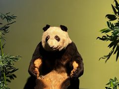 -深圳博物馆历史民俗馆