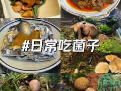 -福照楼汽锅鸡·云南菜(护国路店)