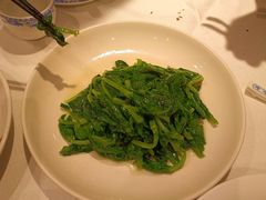 酒香豆苗-老吉士酒家(天平路店)