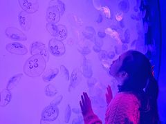 -沈阳海洋探索中心