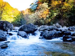 -光雾山旅游景区