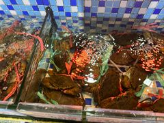 -202特色排档(五缘湾店)