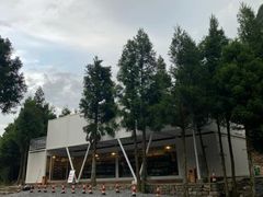 -重庆睡佛山森林公园