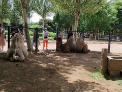 -长白岛森林公园