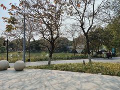 -海珠湖公园