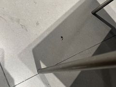 -M Stand(成都COSMO店)