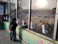 -北京鹿世界主题园