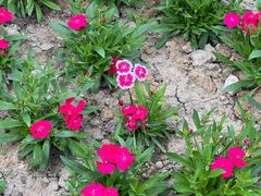 -狼山风景名胜区